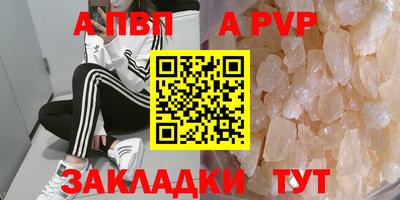 2c-b Кингисепп