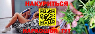 2c-b Кингисепп