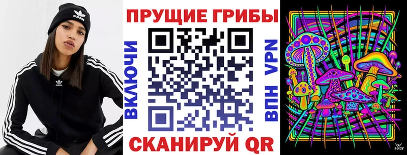 Галлюциногенные грибы Cubensis  Фрязино 