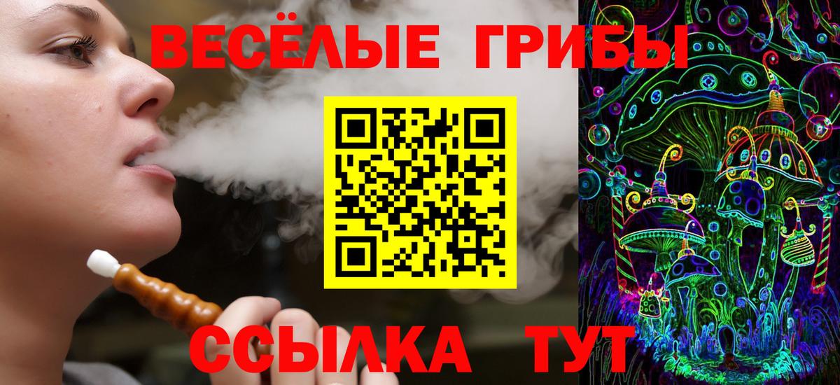 Галлюциногенные грибы MAGIC MUSHROOMS  Вход с VPN  Фрязино  Псилоцибиновые грибы ЛСД 