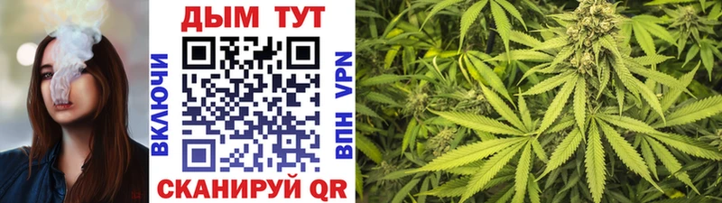 купить наркотик  Фрязино  Бошки Шишки планчик 